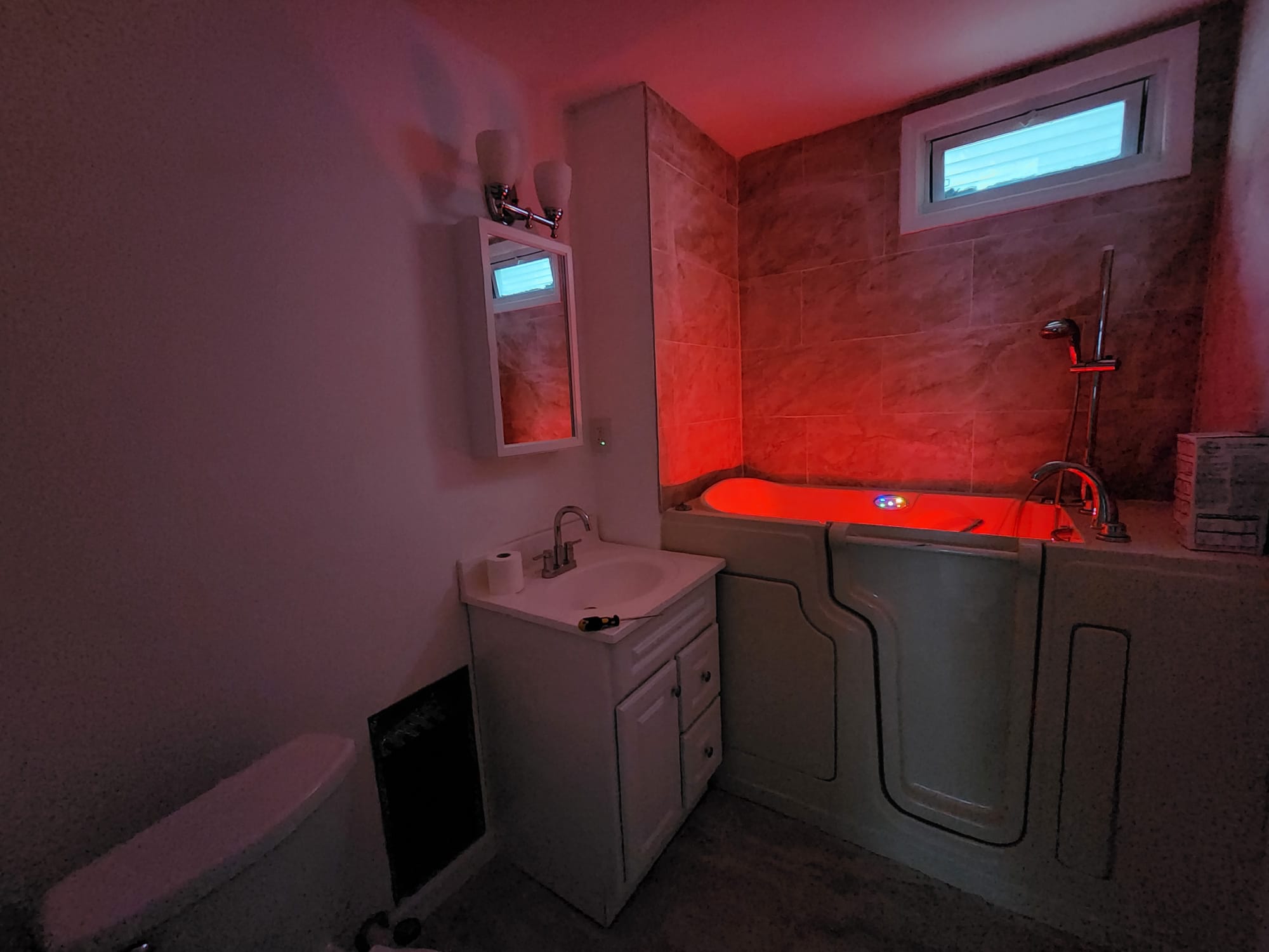 Sami | Disability-Accessible Bathroom Remodel - 2