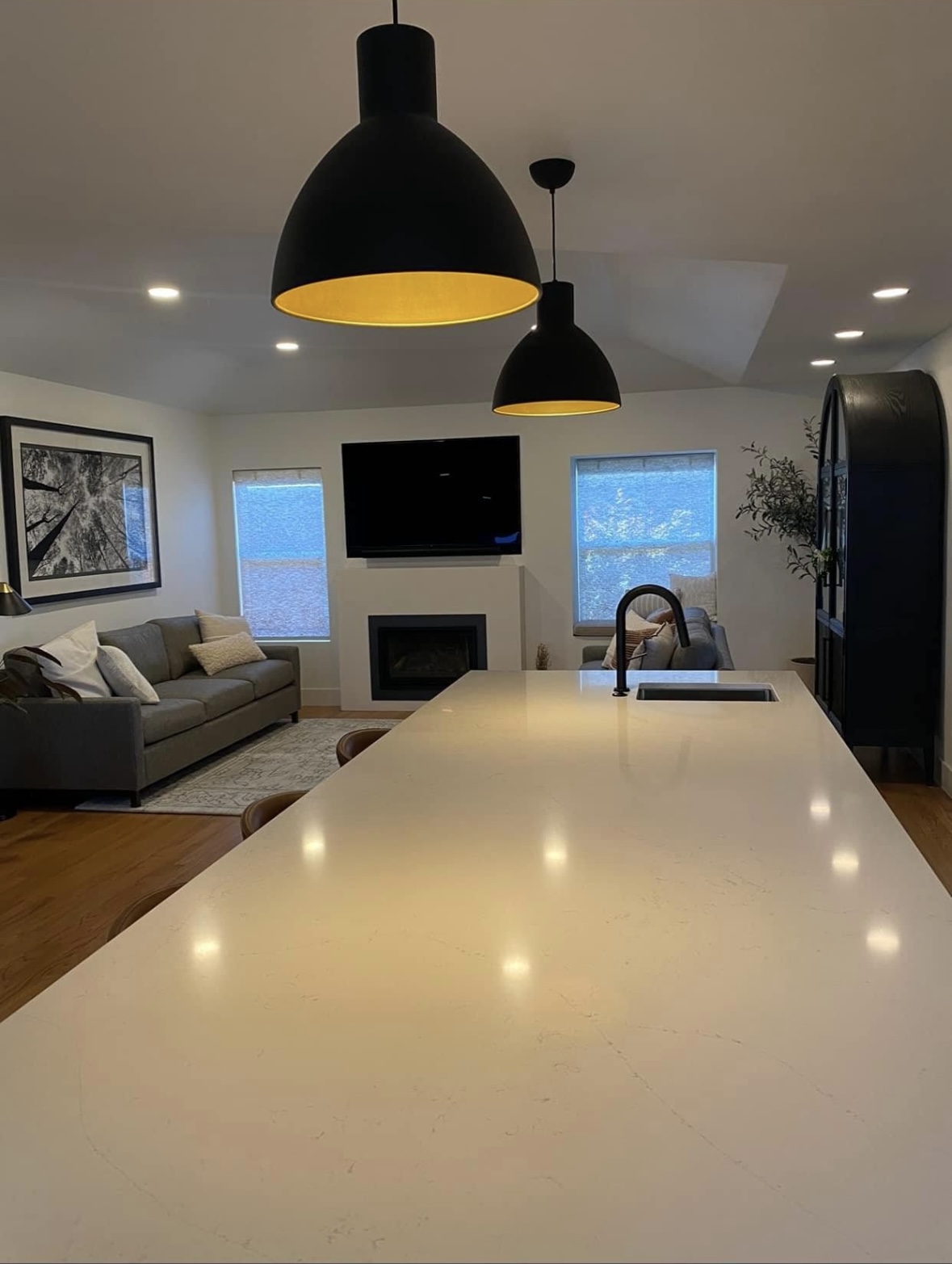 Ivan | Open-Concept Whole Home Renovation – San Carlos - 2