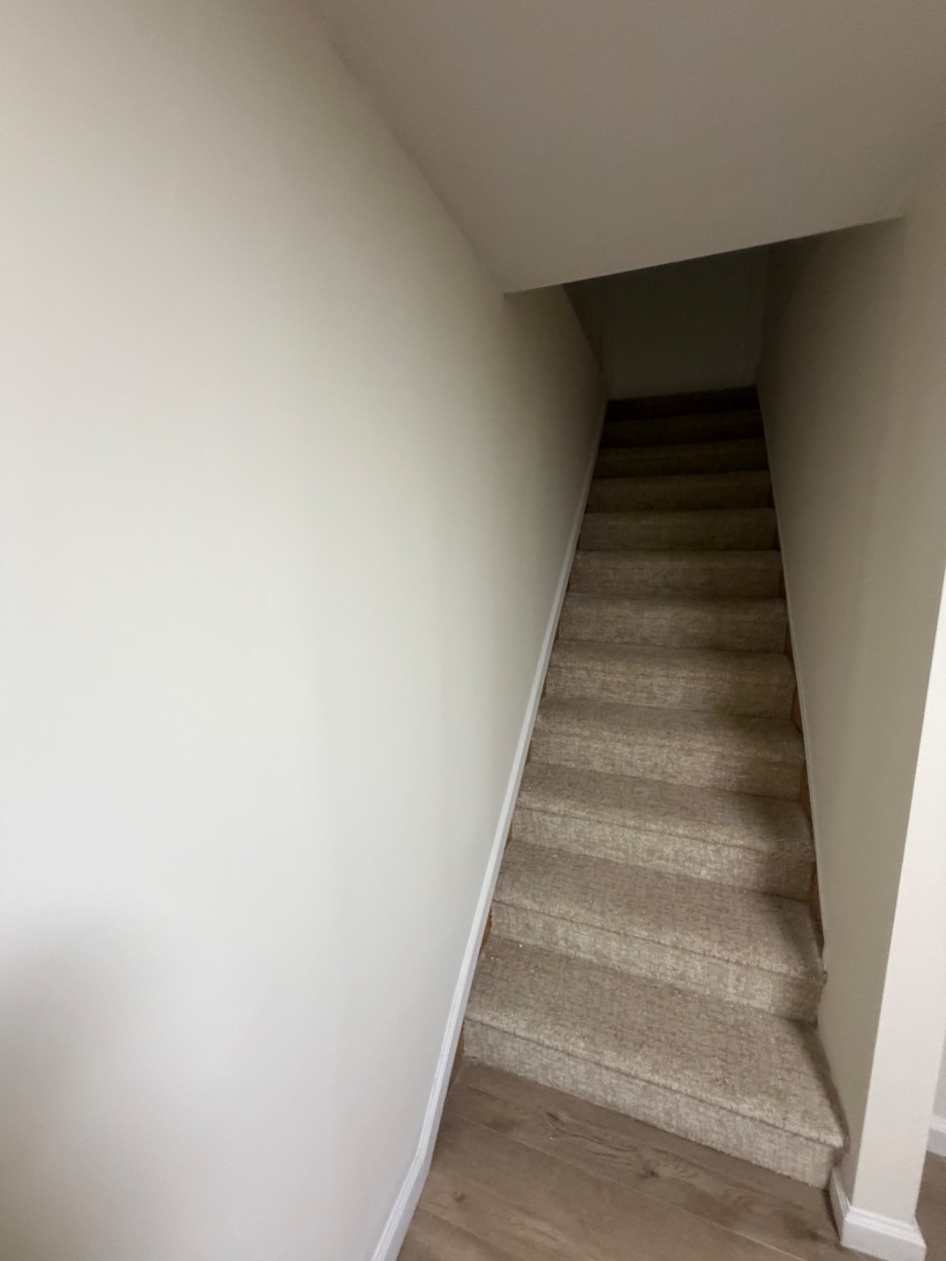 Signature | Simple Drywall & Flooring Job... Until We Found Mold and Absestos - 9