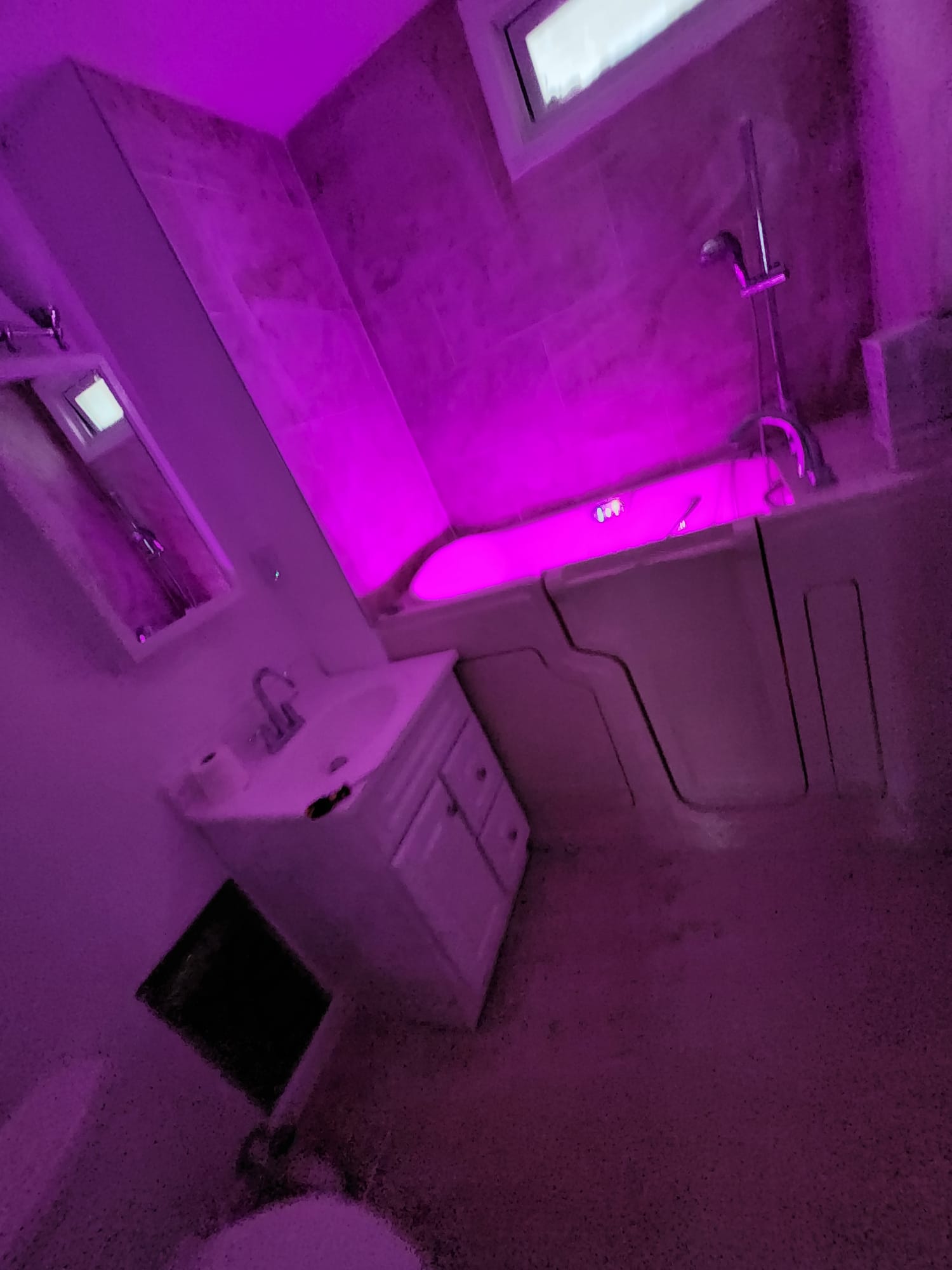 Sami | Disability-Accessible Bathroom Remodel - 4